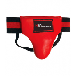 HSA-GG-1006 HSA-GG-1006